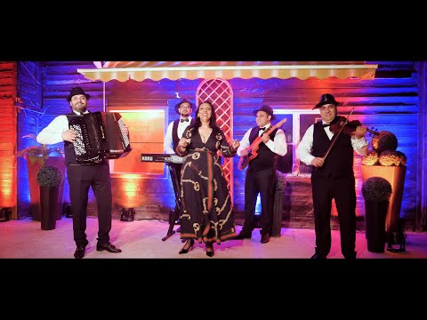 Orkestar Harmonija  & Dragana Berakovic - E ZVONIJA ZVONIJA COVER 2021
