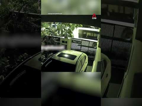 Go-Ahead bus makes wrong turn into Loyang landed estate, damaging multiple vehicles