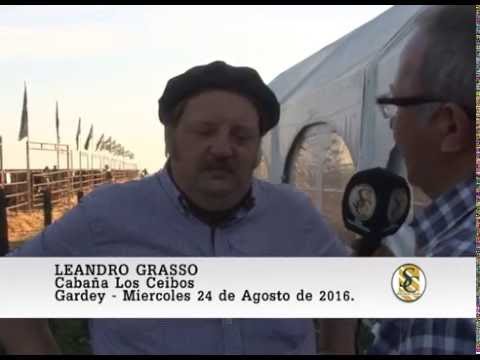 24-08-16 Nota Leandro Grasso - Cabaña Los Ceibos e Invitados - Gardey.