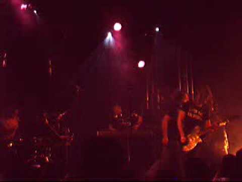 Symbiotic Stridulations Live