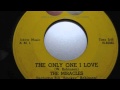 Miracles The Only One I love - Yvonne Towers Miracles The Only One I love
