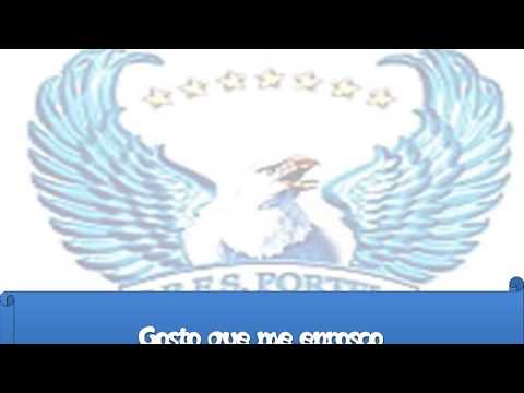 Portela 1995 Ao Vivo