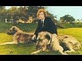 Van Morrison - Who Was That Masked Man (w/ lyrics)