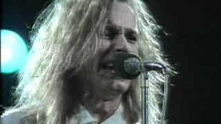 Festival de Viña 1990, Cheap Trick, The flame