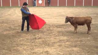 VA POR USTED MAESTRO...