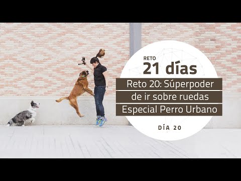 Reto 20 – Súperpoder de ir sobre ruedas
