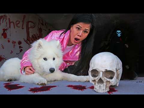 My Dog Found a Human Skull!