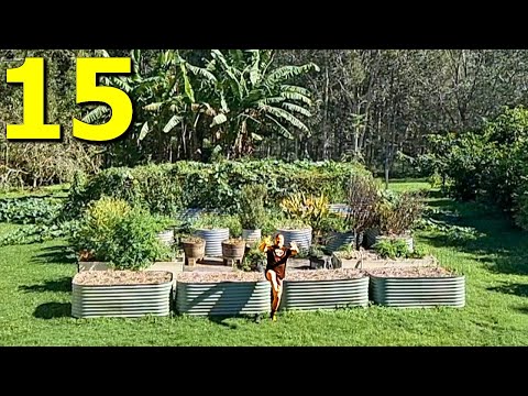 Tips to Help Gardeners Grow a Ton of Food with Ease
