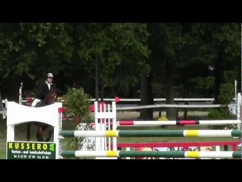 6 j. Hengst v. Burggraaf Schwanewede M**