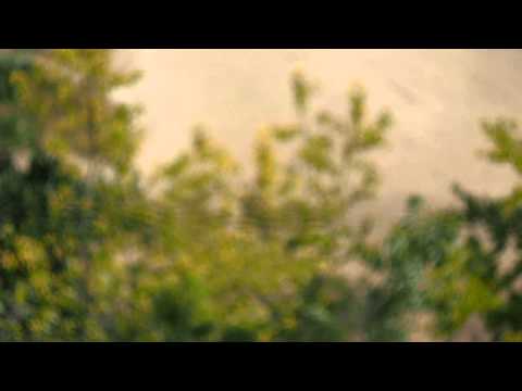 Helios 77M-4 video sample