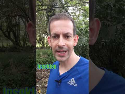 Im Urwald verschollen