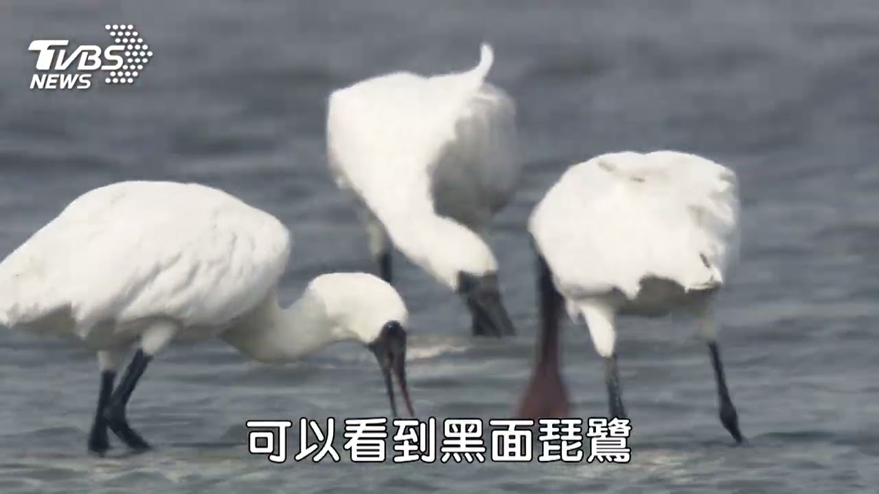 國家公園第一排 台南豪宅無價景觀搶頂端客