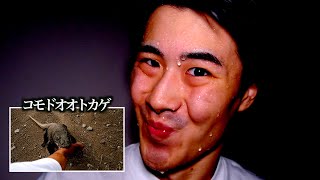 【種類別】腕を噛まれた動物の反応の違い。