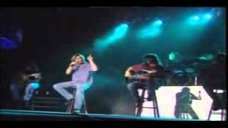 Petra   No Doubt Live