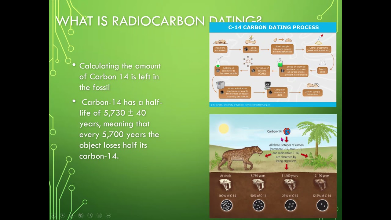 Evolution  PPT Video Part 3