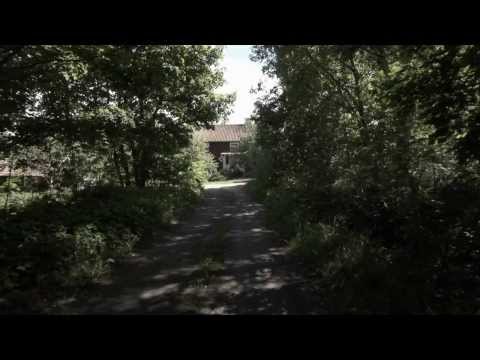 Den Svenska Björnstammen - Långsamt