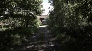 Den Svenska Björnstammen - Långsamt