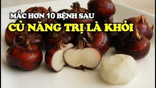 Download lagu Những Bài Thuốc Quý Từ CỦ NĂNG Mát, Tốt Cho Sức Khỏe | Cuộc Sống Hạnh Phúc mp3