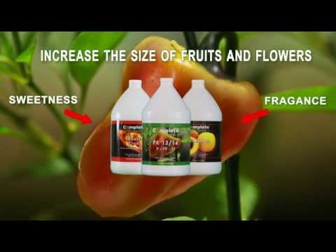 Complete Hydroponics PK 13/14