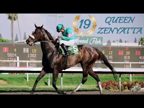 ZENYATTA the story of the World's Best Racehorse 🏇🏇