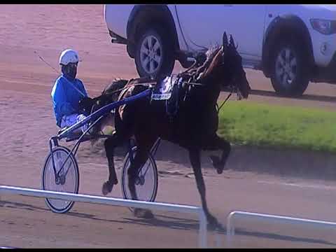 Trotto 18/06/2020 - 1ª corsa