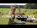 Funky House Mix Vol 4 By Valentina Bravo