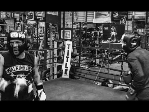 Buff DFB Vs Cesar.M 135 pound Pro (10+ fights)