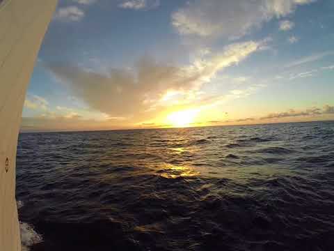 For Sale: Little Harbor 50' Under Sail Video 3