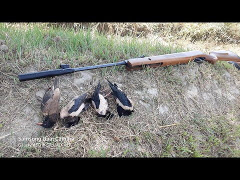 Artemis GR1600W short review