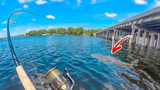 Florida's Most SECRET Bridge Produced 300lbs of Fish on 6 Casts!