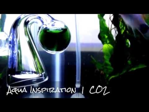 Aqua Inspiration | CO2 Drop Checker