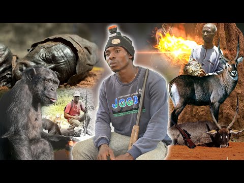 GHOST HUNTER:- In The Mysterious Dark Forest, A Hunter Shoots A Witch At 2:30 Am, Terrify Narration!