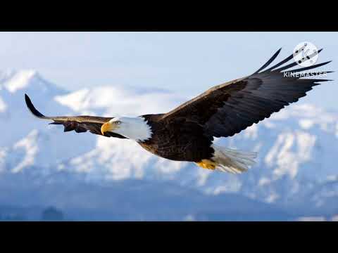 EUNICE MANYANGA - LIZIBA (Instrumental)