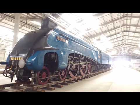 THE BITTERN 4464 THE FIRST ARRIVAL