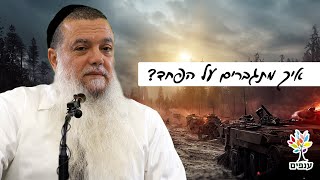 הרב יגאל כהן - איך מתגברים על הפחד במלחמה? (ארגון ענפים) - התמונה מוצגת ישירות מתוך אתר האינטרנט יוטיוב. זכויות היוצרים בתמונה שייכות ליוצרה. קישור קרדיט למקור התוכן נמצא בתוך דף הסרטון