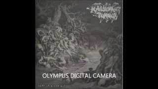 Malignant Tumour - Up Your Fucking Arse