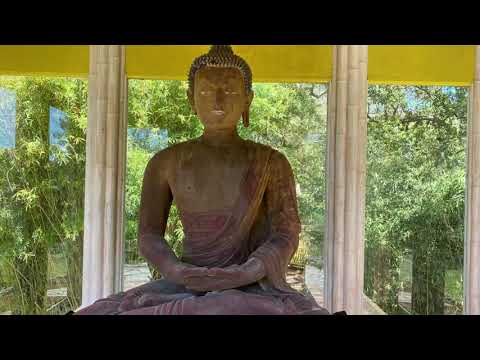 Jungle Gardens - Avery Island, Louisiana