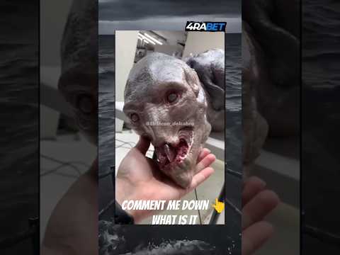 Real mermaid caught in camera 🤯 #shorts #viral #ytshorts #shortsfeed