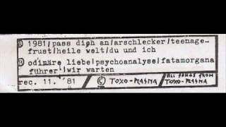 Toxoplasma - Du & Ich