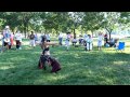 Cleveland Drum Circle at Edgewater Park ...