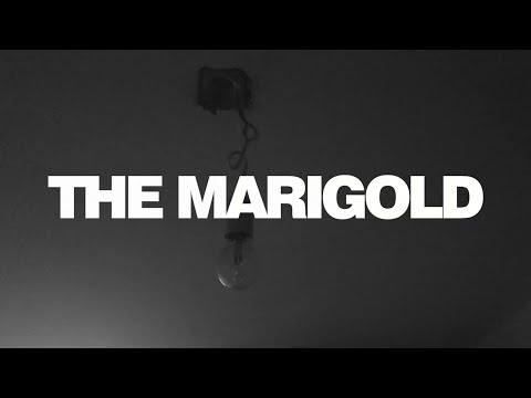 The Marigold - My Own Apostate (feat. Adam Harding)