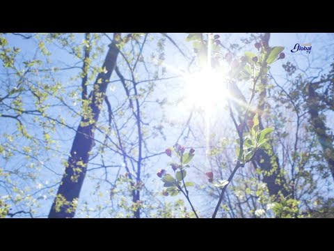 ¿POR QUÉ HACE TANTO CALOR?