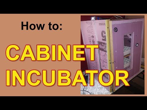 , title : 'How to: Cabinet Incubator - 240 quail egg incubator'