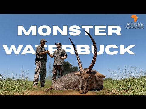 No Pain No Gain - Monster Waterbuck, Blue Wildebeest, Oryx & Impala Hunt in South Africa!