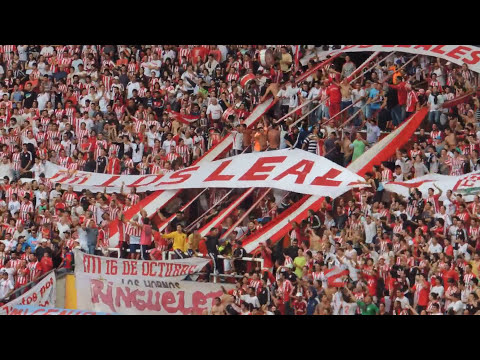 "" Soy Pincharrata..." / Estudiantes 1- Colón 0. Torneo Inicial 2013- Fech" Barra: Los Leales &bull; Club: Estudiantes de La Plata