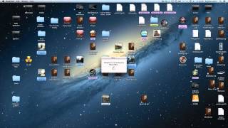 How to install a game into a Wineskin Wrapper