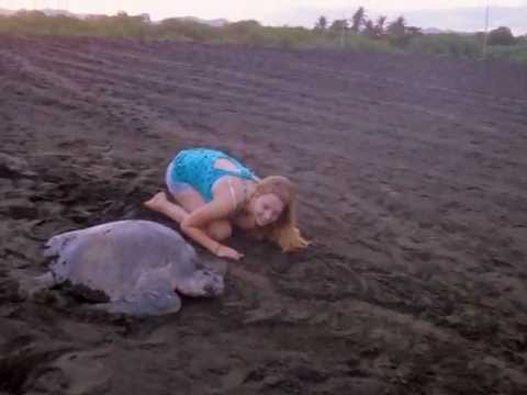 Volunteer Abroad - Turtle Conservation