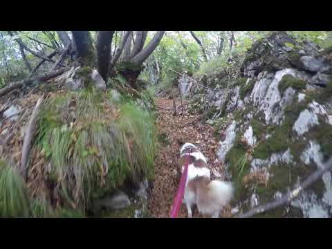 Dos Castion - Civezzano - Kriegspfade - 1. Weltkrieg