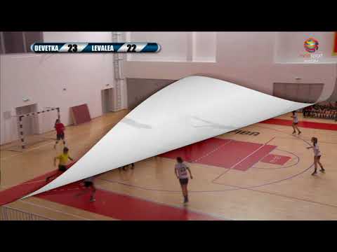 Ana Šaranović Handball CV