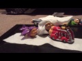 Jay Jay The Jet Plane Movie